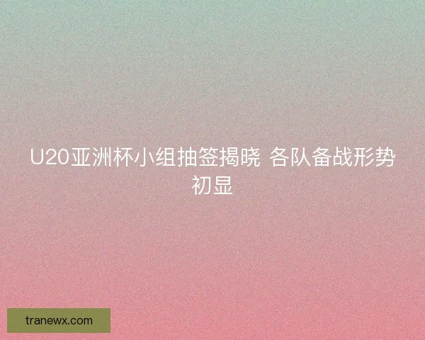 U20亚洲杯小组抽签揭晓 各队备战形势初显