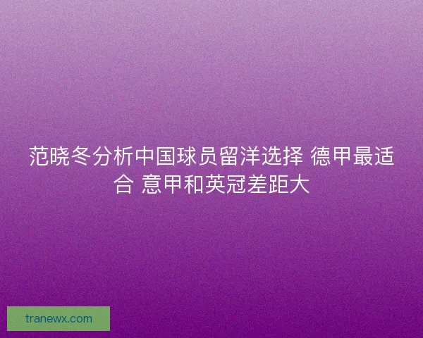 范晓冬分析中国球员留洋选择 德甲最适合 意甲和英冠差距大